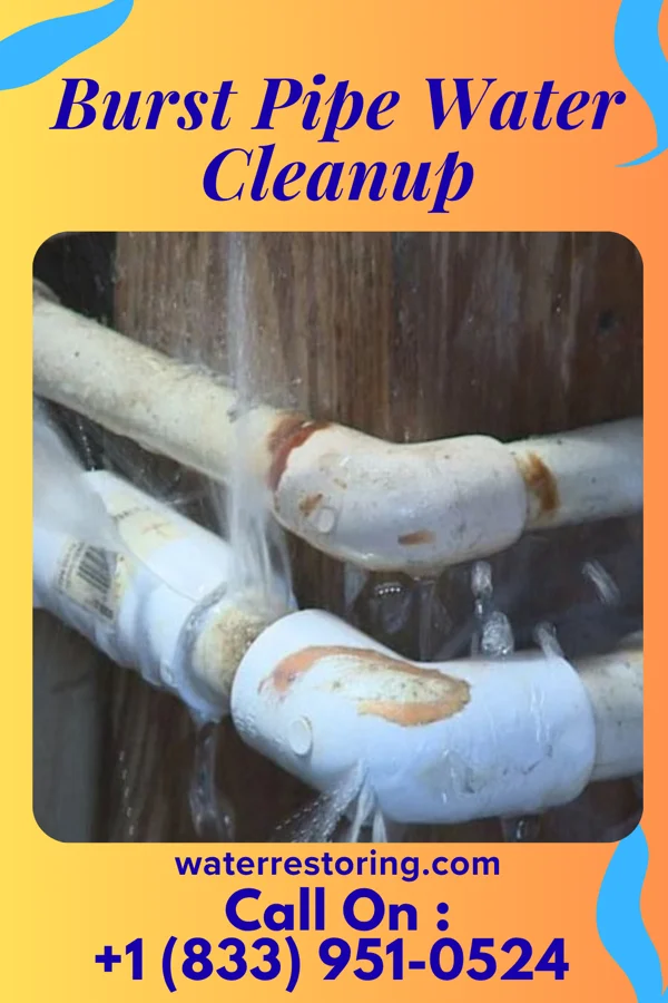 Burst Pipe Water Cleanup in Pine Ridge at Crestwood, NJ