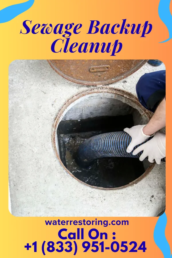Sewage Backup Cleanup in Pine Ridge at Crestwood, NJ