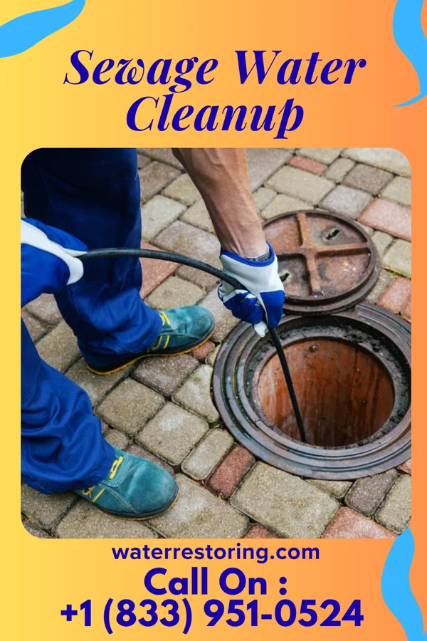 Sewage Water Cleanup in Pine Ridge at Crestwood, NJ