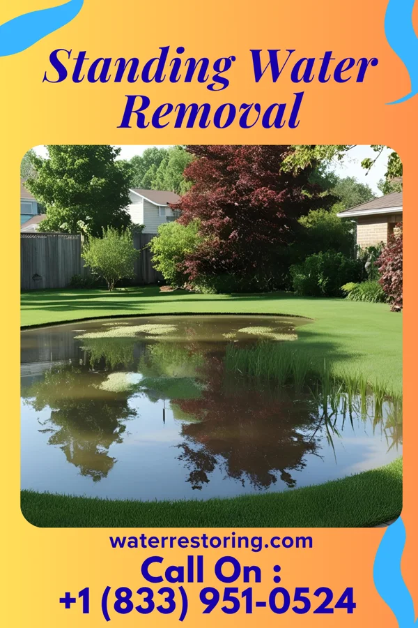Standing Water Removal in Pine Ridge at Crestwood, NJ